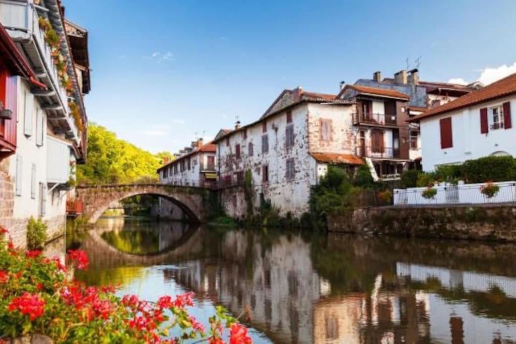 Vila Bergerie Geldi Leku Saint-Jean-le-Vieux  Exteriér fotografie