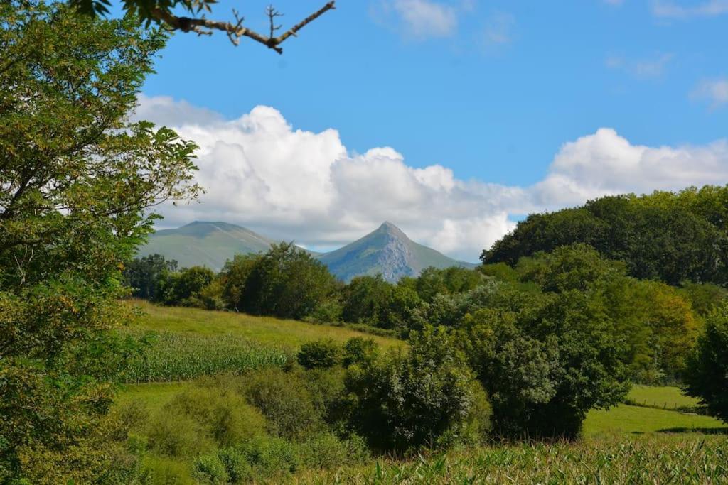 Vila Bergerie Geldi Leku Saint-Jean-le-Vieux  Exteriér fotografie
